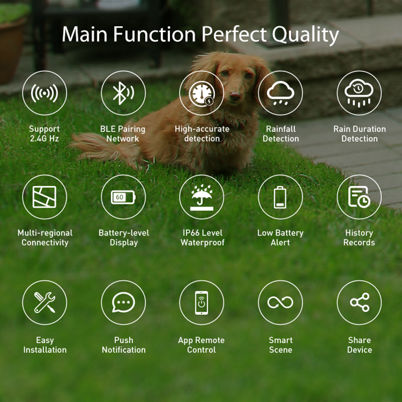 WiFi Rain Sensor Rainfall Dura – Smart Home Villa recenzja i cena