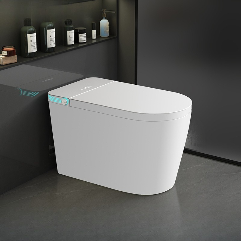 Smart toilet Fully automatic f – Smart Home Control recenzja i cena