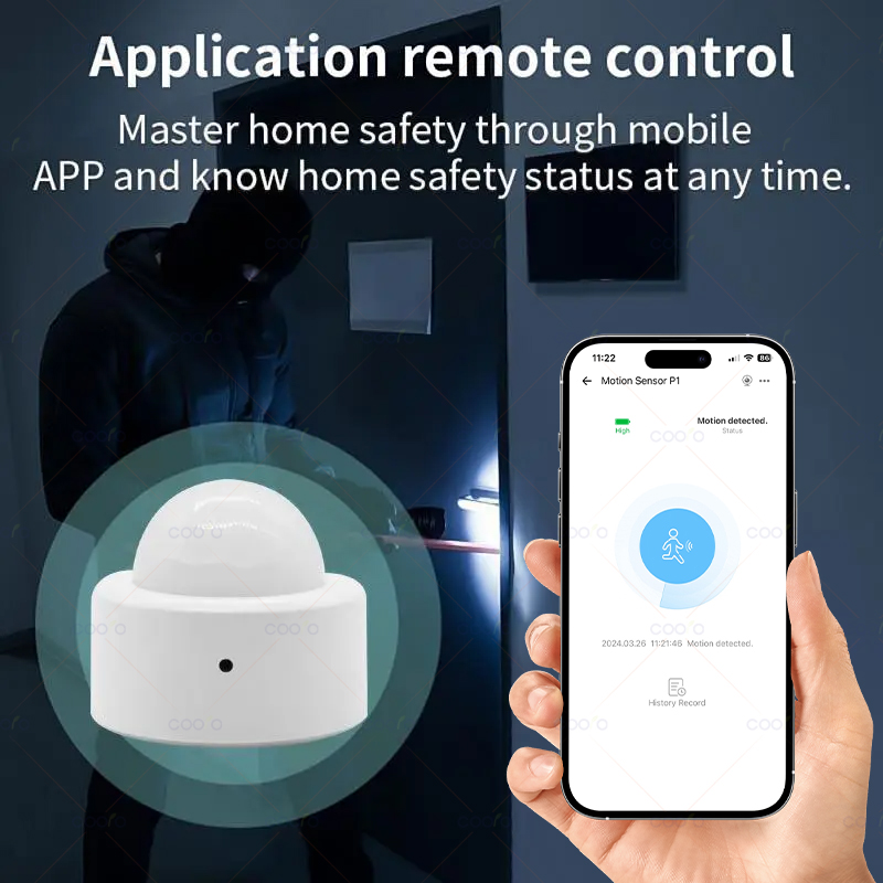 Zigbee Mini PIR Motion Sensor  – Smart Home Zentrale recenzja i cena